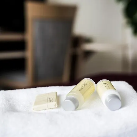 B&B Hotel University Brno